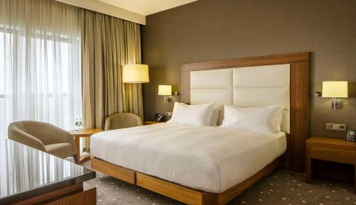 One-Bedroom Suite with Park View