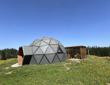 Mobile Home