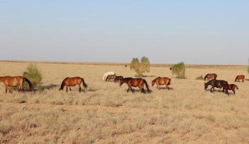 Twin Room with Shared Bathroom