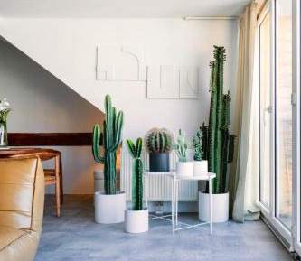 Two-Bedroom Apartment with View