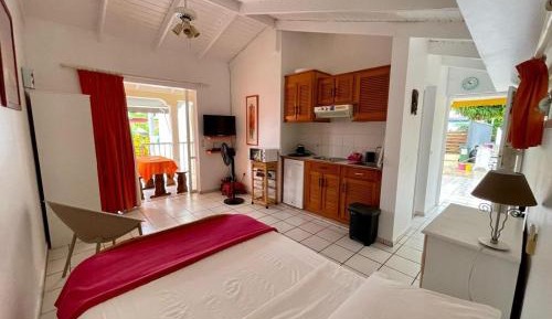 Studio with Garden View