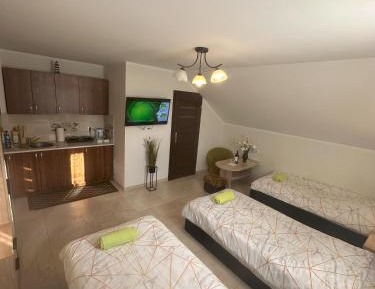 Studio Apartment