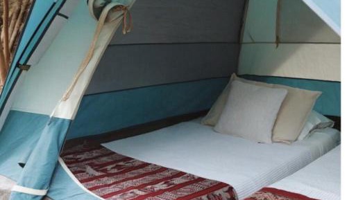 Single Bed in Female Tent 