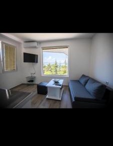 Two-Bedroom Apartment with Lake View