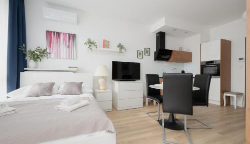 Studio with Sofa Bed
