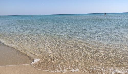 Villa with Garden View