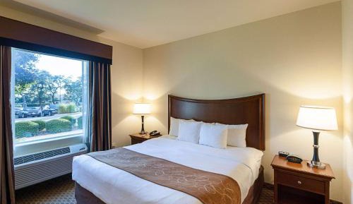 King Suite with Sofa Bed - Non-Smoking