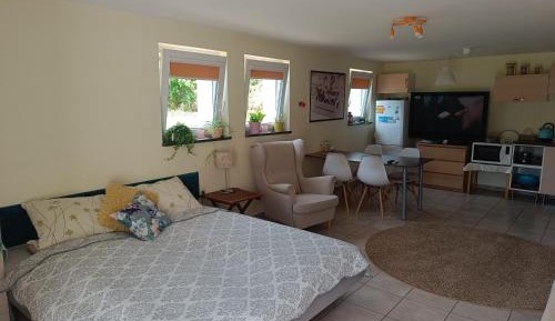 Studio Apartment with One Double Bed