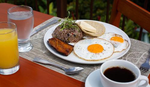 Phil’s Villa + Waterfall