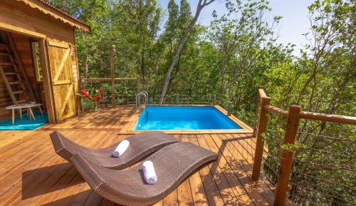 Jungle Lodge 