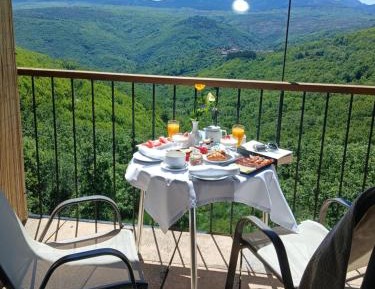 Superior Double or Twin Room with Terrace