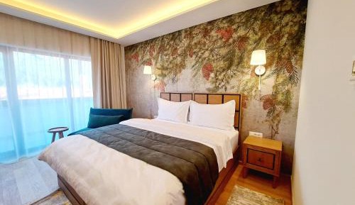Double Room with Mountain View