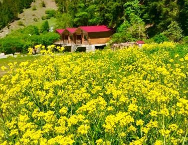 Deluxe Bungalow with Garden View
