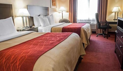 Queen Room with Two Queen Beds - Non-Smoking