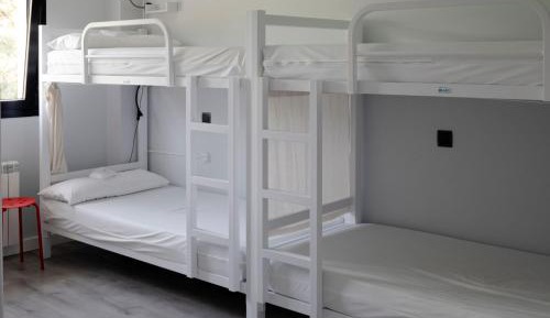 Bunk Bed in Mixed Dormitory Room