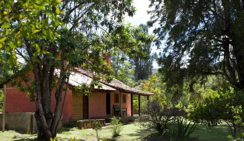 Bungalow (3-7 Adults)