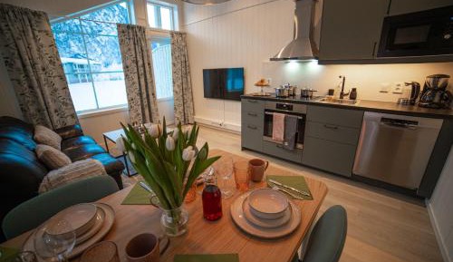 Deluxe One-Bedroom Apartment