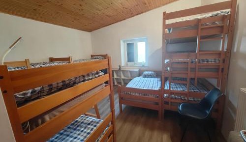 Bed in 10-Bed Mixed Dormitory Room