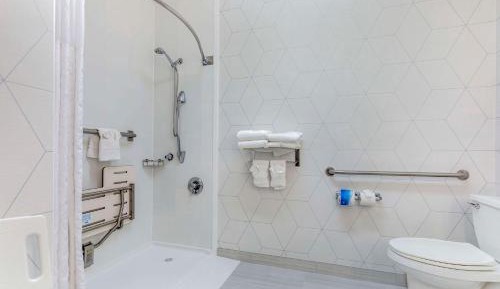 King Suite with Roll-In Shower - Accessible/Non-Smoking