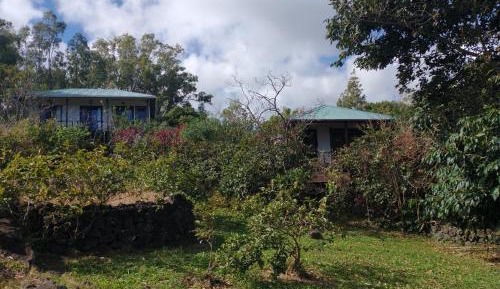Bungalow (3 Adults)