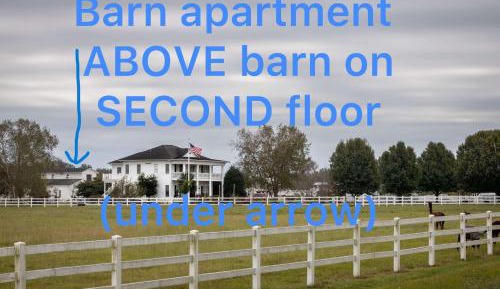 Apartment with Garden View