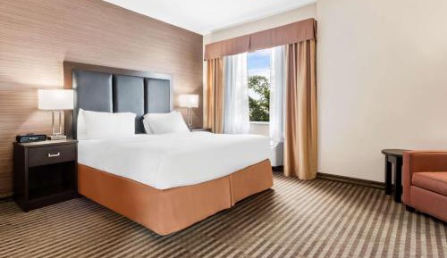 King Suite with Sofa Bed