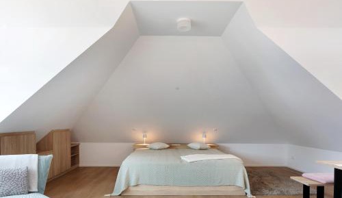 Superior One-Bedroom Apartment with Balcony