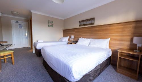 Deluxe Double or Twin Room with River View