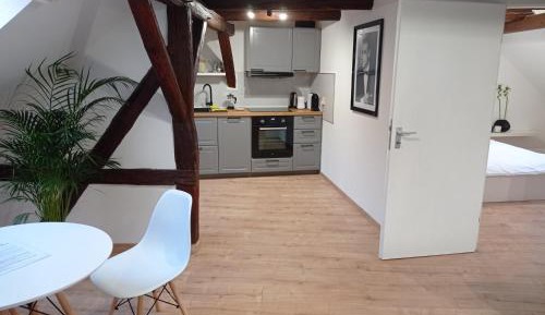 Superior One-Bedroom Apartment