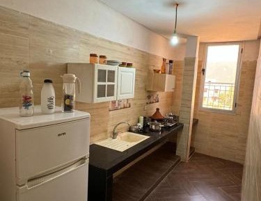 Deluxe One-Bedroom Apartment