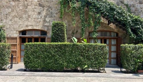 Queen Room with Garden View