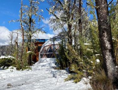 Triple Room with Bath