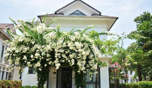 Four-Bedroom Villa with Garden View