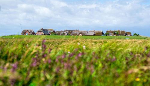 Superior One-Bedroom Apartment