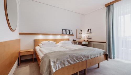 Panorama Double Room with Access to the Thermal Spa