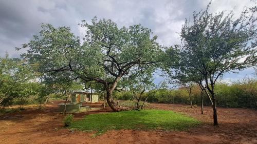 Empty Lot