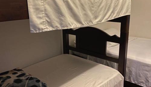 Bed in 4-Bed Dormitory Room