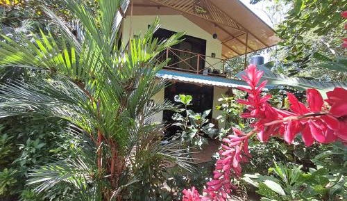 Double Room with Park View