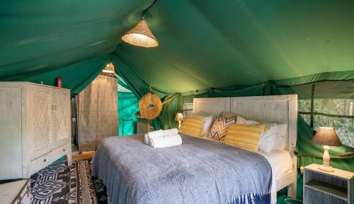 Tent