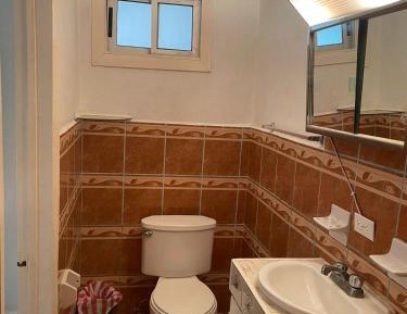 Single Bed in 6-Bed Dormitory Room