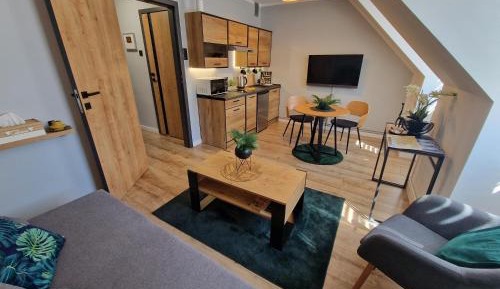 Studio Apartment