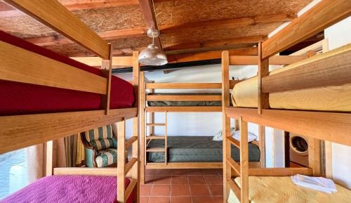 Bed in 6-Bed Mixed Dormitory Room