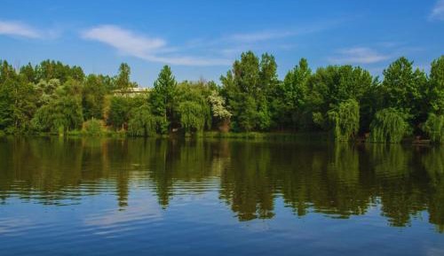 Double Room with Lake View