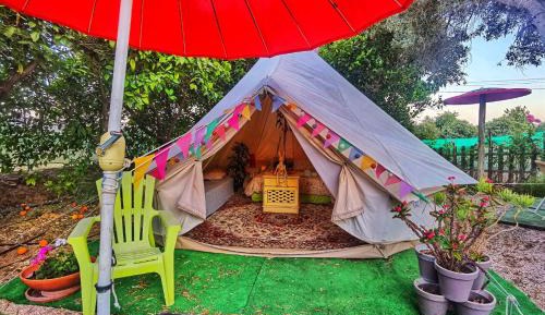 Tent