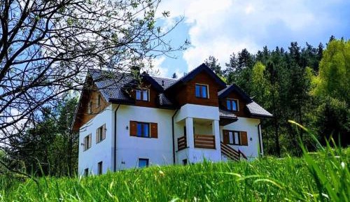 Triple Room with Mountain View