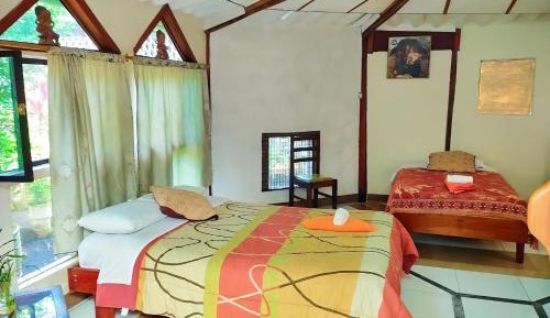 Standard Twin Room with Garden View