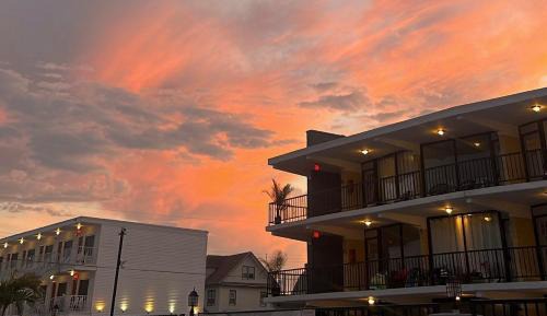 One-Bedroom Premium Apartment