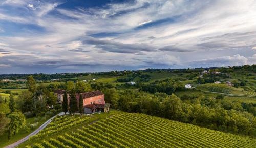 Three-Bedroom Apartment - Split Level