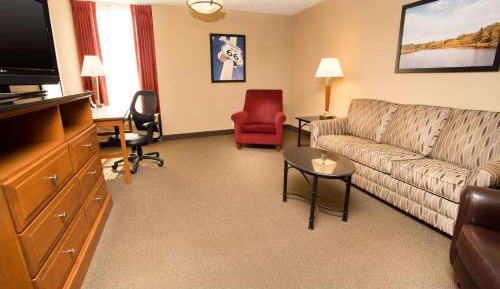 King Suite with Sofa Bed