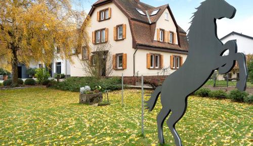 Superior One-Bedroom Apartment